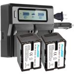 2 X Type Batteries For Sony BP-35U & Dual Bay LCD Charger