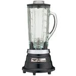 PBB209 Professional Food and Beverage Blender (Ebony)