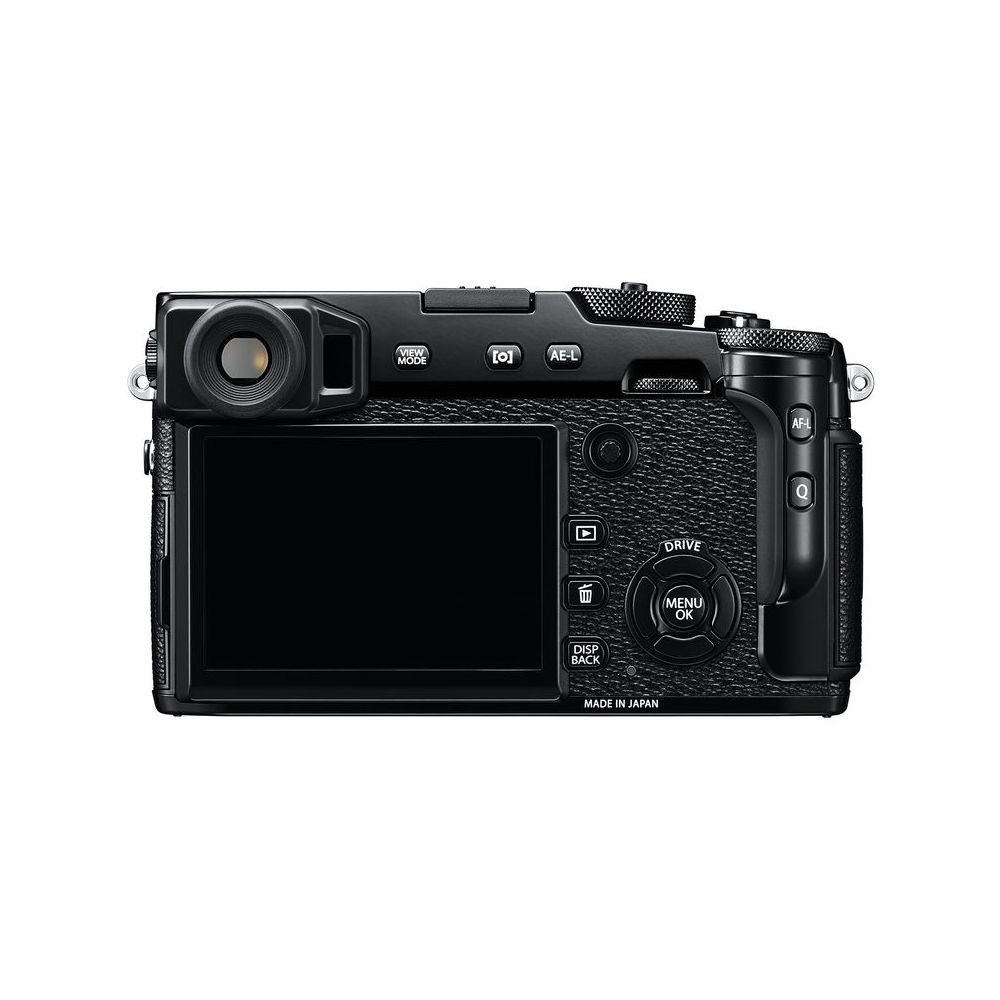 images FUXP2B