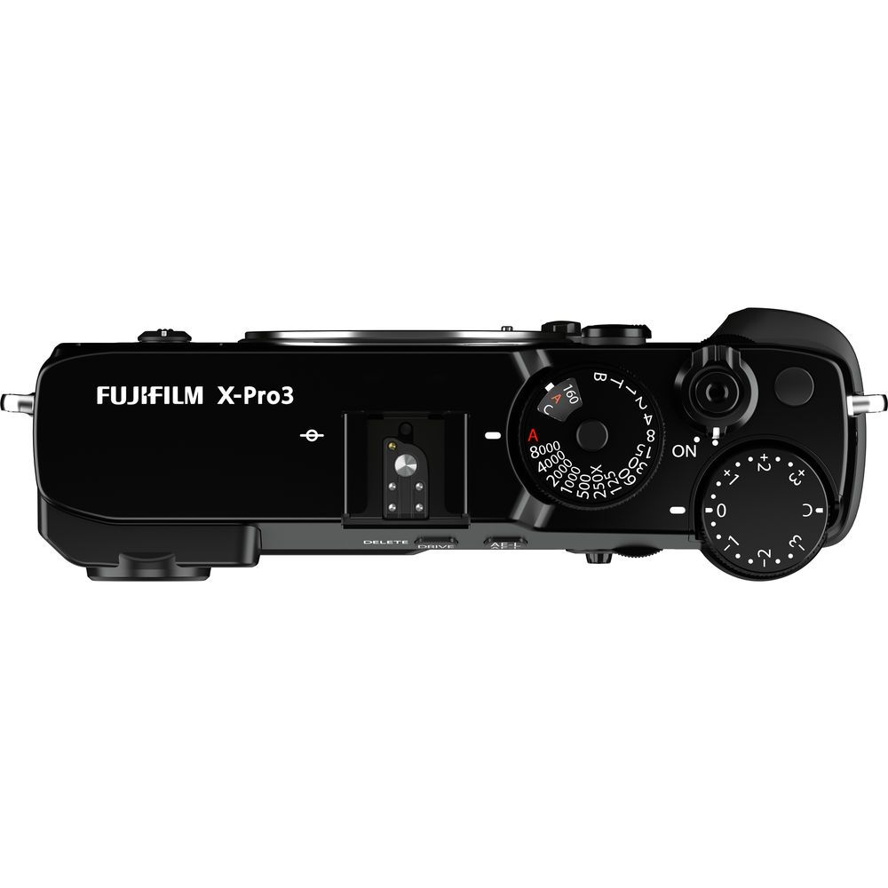 images FUXP3B