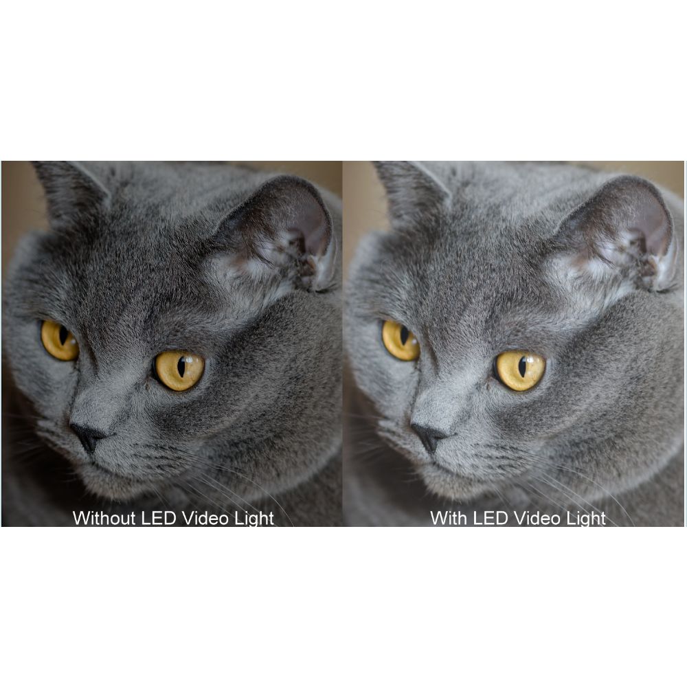 images SCLEDVL