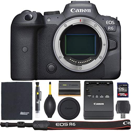 Canon EOS R6 Mirrorless Digital Camera (Body Only, 4082C002) +