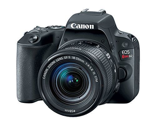 wifi enabled camera canon