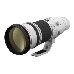 Canon EF 500mm f/4L IS II USM Lens