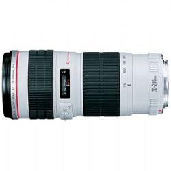 Canon EF 70-200mm f/4L USM Telephoto Zoom Lens - ( 2578A002 )