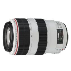 Canon EF 70-300mm f/4-5.6L IS USM Telephoto Lens