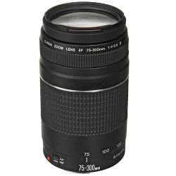 Canon EF 75-300mm f/4-5.6 III  Lens