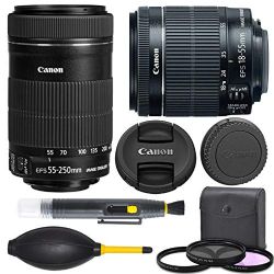 Canon EF-S 18-55mm f/3.5-5.6 is STM Lens (8114B002) + Canon EF-S 55-250mm f/4-5.6 is STM Lens (8546B002) + AOM Pro Starter Kit Bundle - international Version (1 Year AOM Warranty)