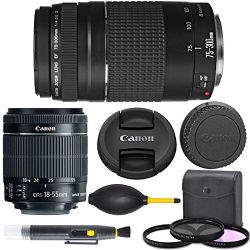 Canon EF-S 18-55mm f/3.5-5.6 is STM Lens (8114B002) + Canon EF 75-300mm f/4-5.6 III Lens (6473A003) + AOM Pro Starter Kit Bundle - international Version (1 Year AOM Warranty)