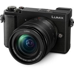 Panasonic Lumix DC-GX9 Mirrorless Micro Four Thirds Digital Camera with 12-60mm Lens (Black)