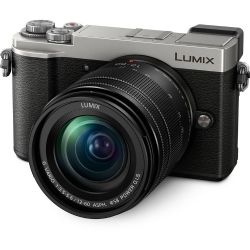 Panasonic Lumix DC-GX9 Mirrorless Micro Four Thirds Digital Camera with 12-60mm Lens (Silver)