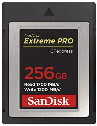 SanDisk 256GB Extreme PRO CFexpress Card Type B