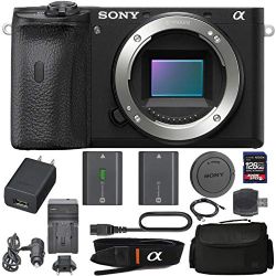 Sony Alpha a6600 Mirrorless: Digital Camera (Body Only ILCE6600/B) with Sony NP-FZ100 Battery, Spare FZ100 Battery, 128gb SDXC 1200x Card, Reader, Case, AC Adapter Bundle Kit - International Version