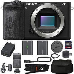 Sony Alpha a6600 Mirrorless: Digital Camera (Body Only ILCE6600/B) with Sony NP-FZ100 Battery, Spare FZ100 Battery, 128gb SDXC 1200x Card, Reader, Case, AC Adapter Bundle Kit - international Version