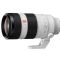 Sony FE 100-400mm f/4.5-5.6 GM OSS Lens