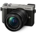 Panasonic Lumix DC-GX9 Mirrorless Micro Four Thirds Digital Camera with 12-60mm Lens (Silver)