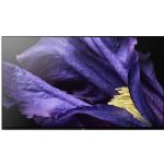 Sony A9F XBR-55A9F Master Series 55"-Class HDR UHD Smart OLED TV