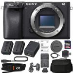 Sony Alpha a6400 Mirrorless: Digital Camera (Body Only ILCE-6400/B) + Sony NP-FW50 Battery, Spare FW50 Battery, 128GB SDXC 1200x Card, Card Reader, Case, AC Adapter Bundle Kit - International Version
