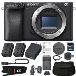 Sony Alpha a6400 Mirrorless Digital Camera (Body Only) with Sony NP-FW50 Battery, Spare FW50 Battery, 64gb SDXC 1200x Card, Card Reader, Carrying case, AC Adapter Bundle Kit - International Version