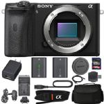 Sony Alpha a6600 Mirrorless: Digital Camera (Body Only ILCE6600/B) with Sony NP-FZ100 Battery, Spare FZ100 Battery, 128gb SDXC 1200x Card, Reader, Case, AC Adapter Bundle Kit - International Version